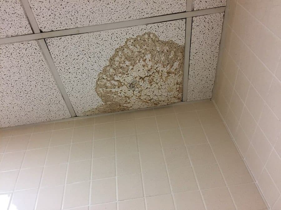 Leaks or water spots